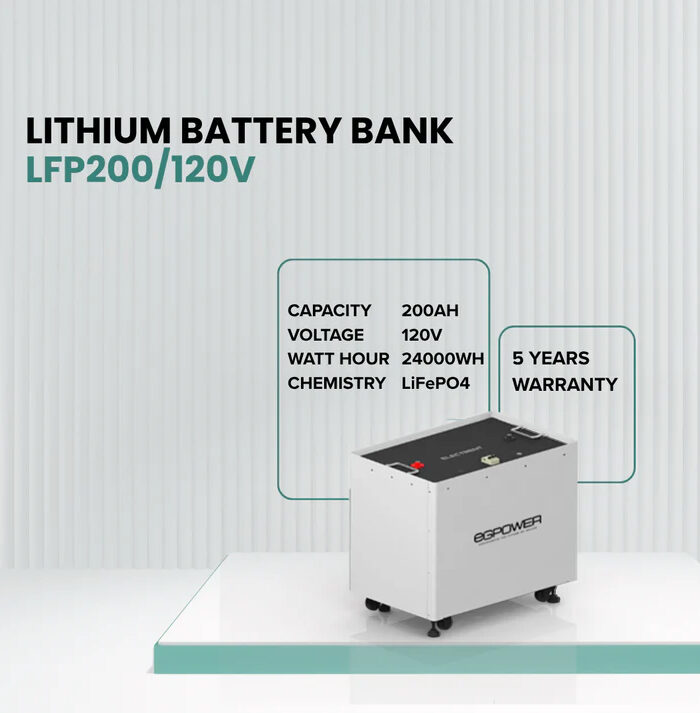 Lithium Battery LFP200/120V