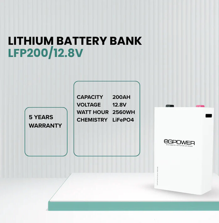 Lithium Battery LFP200/12.8V