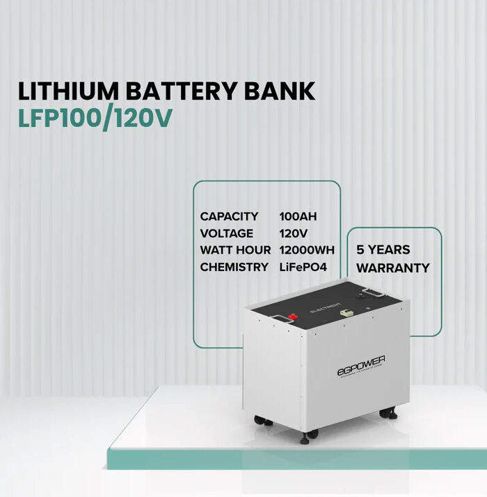 Lithium Battery LFP100/120V