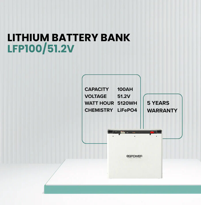 Lithium Battery LFP100/51.2V