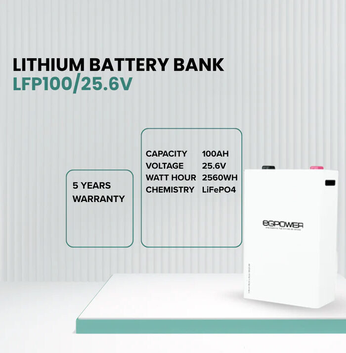 Lithium Battery LFP100/25.6V